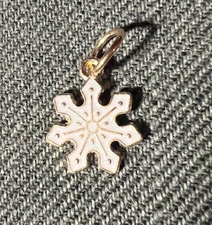 Maskemarkør julestjerne